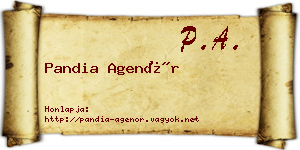Pandia Agenór névjegykártya